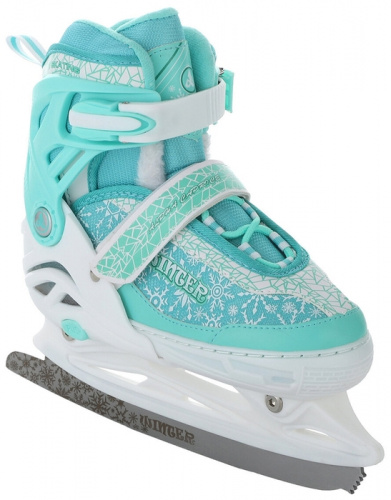 Коньки раздвижные RGX Winter mint